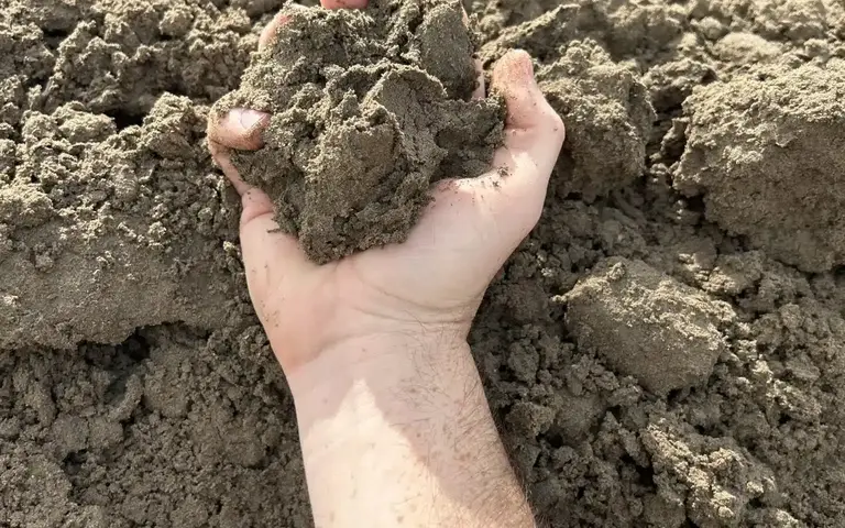 Fill Dirt