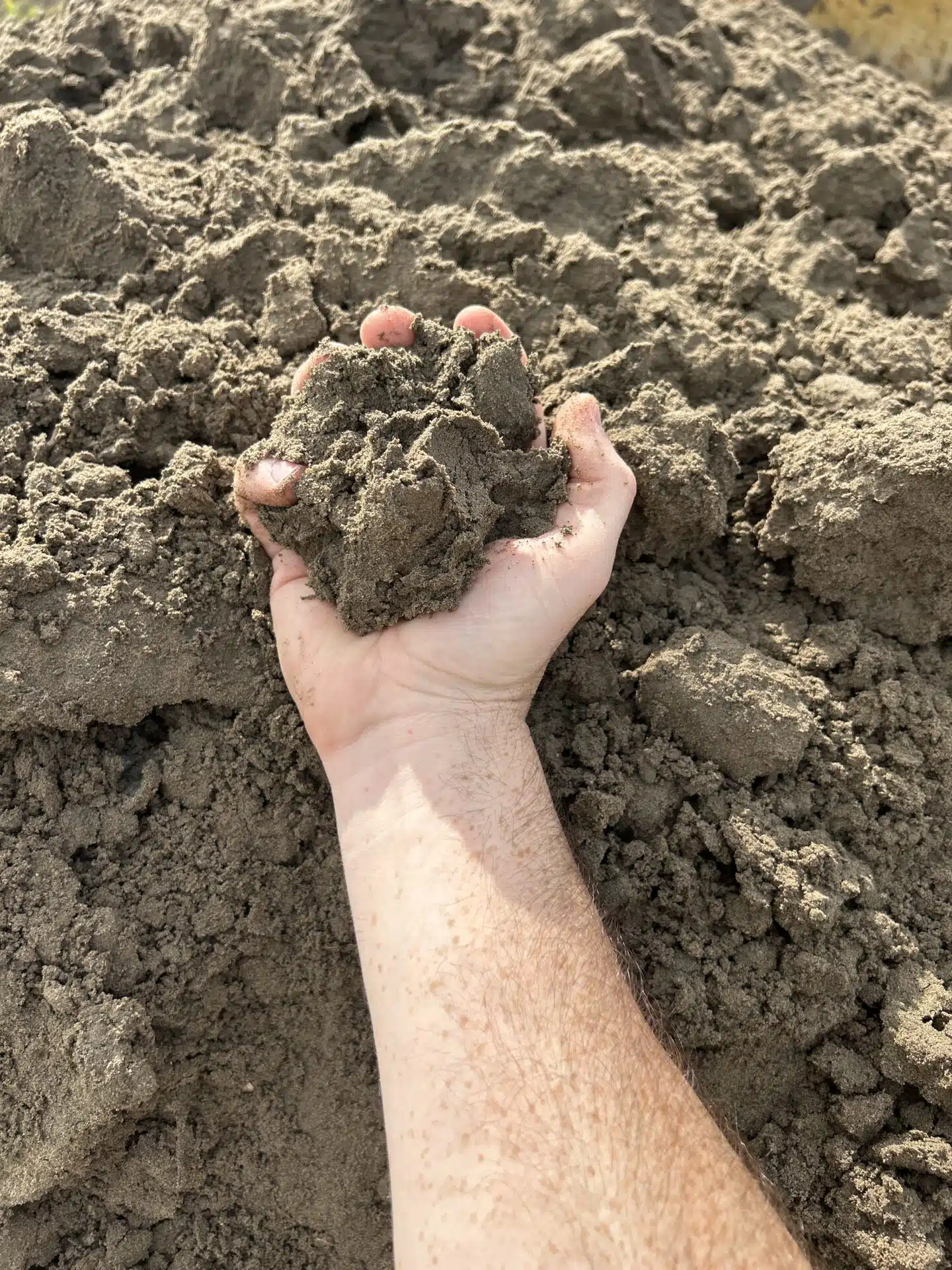 Fill Dirt