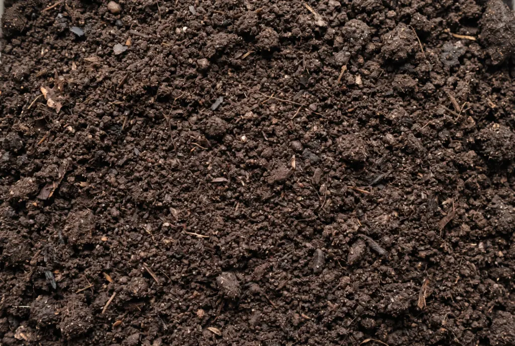 Garden Soil vs Topsoil: 2026 Comparison