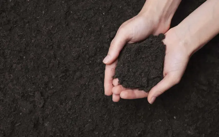 Premium Screened Topsoil