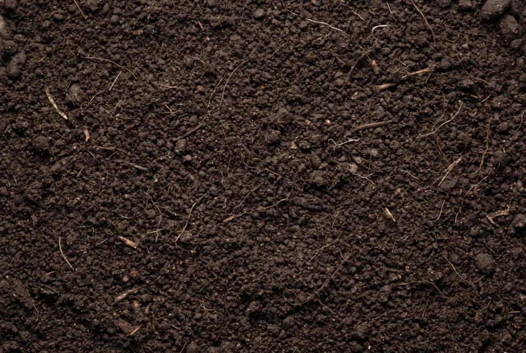 Premium Screened Topsoil Delivery in Phoenix, AZ