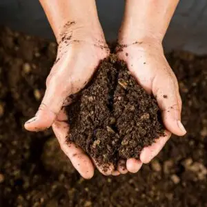 Compost