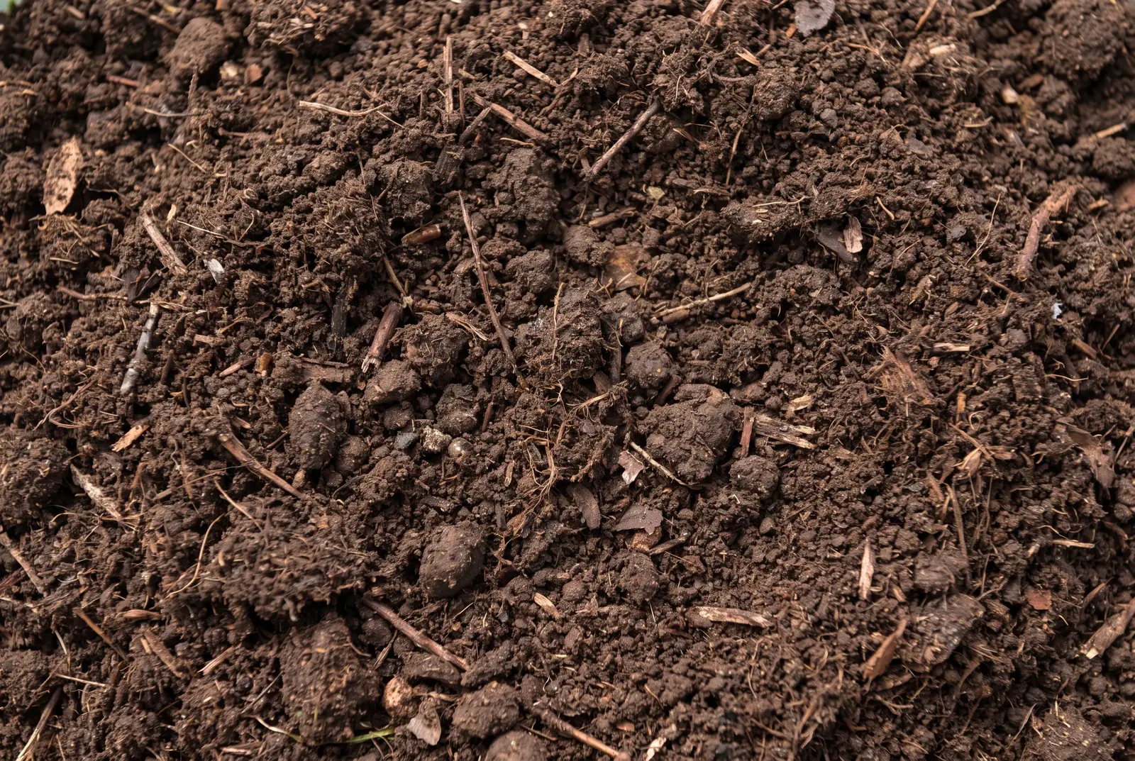 Compost - Image 2