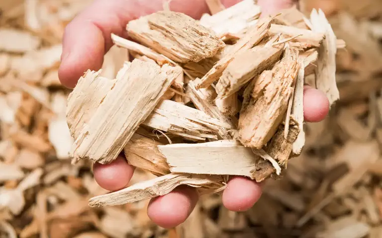 Wood Chips